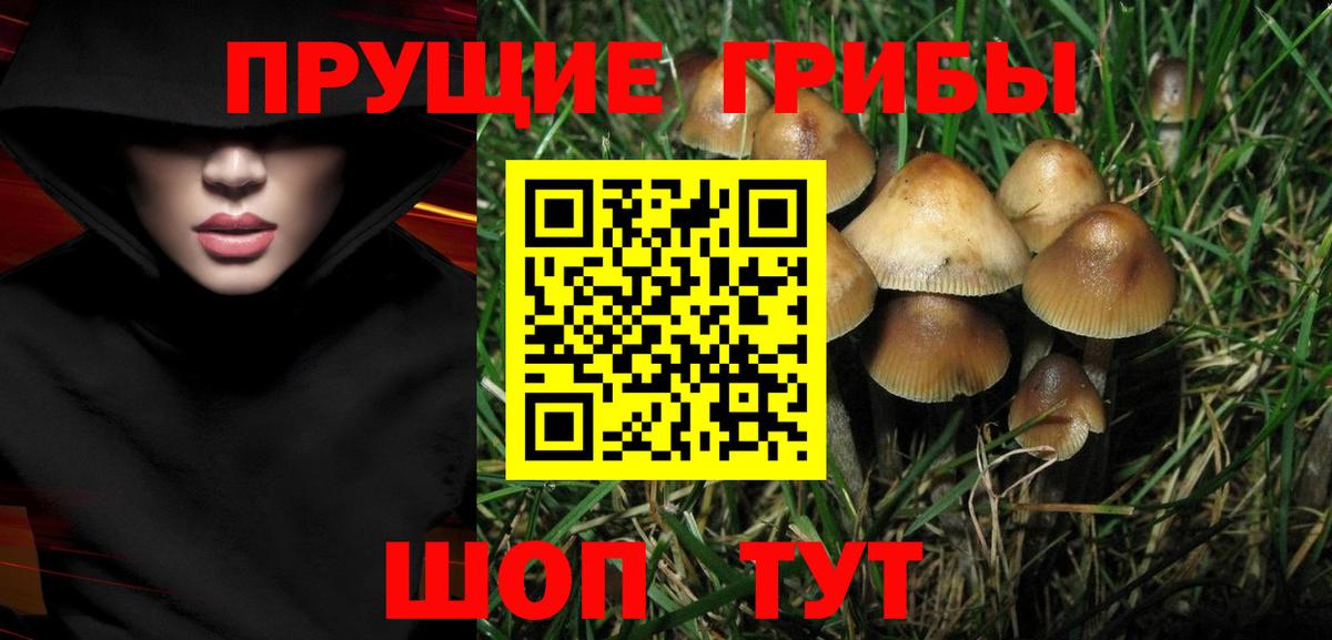 Псилоцибиновые грибы прущие грибы  Вход с VPN  Гурьевск 